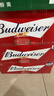 百威（Budweiser）经典纯生淡色拉格啤酒 500ml*18听整箱装 年货送礼 实拍图
