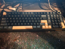 京东京造JZ990Pro三模无线蓝牙有线办公游戏键盘电竞PBT键帽RGB送男友独立数字区续航外设机械键盘鎏金黑 实拍图