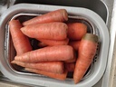京喜加山东新鲜胡萝卜水果胡萝卜现挖现发蔬菜水果沙地红萝卜减脂 带泥胡萝卜5斤 净重 含箱 实拍图