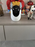 普联（TP-LINK）800万4K全彩摄像头家用监控360度无死角带夜视全景  室内无线手机远程可对话宠物宝宝看护 IPC48DW 实拍图