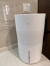 米家小米无雾加湿器3-800 轻音家用卧室办公室6L大容量 800ml/h快速加湿CJSJSQ04ZMZ礼品保湿送女生 实拍图