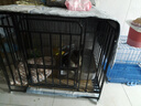 北鼻狗【升级全管加强 】狗笼中型犬大型犬狗笼子宠物狗狗笼子金毛用品 升级四面全管底部加强 黑色 94*64*85CM 建议70斤内 实拍图
