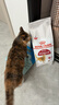 皇家成猫猫粮 营养均衡 F32 通用粮 1-7岁 2KG 实拍图