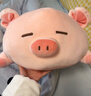 名创优品（MINISO）小猪B-BO系列-草莓趴姿毛绒公仔玩具玩偶娃娃抱枕靠枕生日礼物女 实拍图