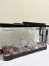 阔庭（KUOTING）鱼缸桌面透明生态鱼缸客厅水族箱黑色 实拍图