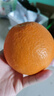 纽荷尔脐橙夏橙新鲜采摘水果 【精挑细选】带箱10斤 大果75mm+普箱 实拍图
