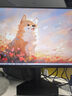 雷神27英寸2K 210Hz Fast IPS 硬件低蓝光 升降旋转HDR500nit峰值内置音箱电脑显示器JQ27F210L-Pro 实拍图