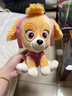 汪汪队立大功（PAW PATROL）毛绒玩具狗狗陪睡玩偶经典款天天中号坐姿可爱公仔男女孩生日礼物 实拍图