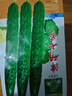 花语笙默四季播种蔬菜种子家庭种菜盆栽田园地栽菜种易种植易生长瓜果菜籽 津研七号黄瓜种子（约45粒） 原厂封装1袋 实拍图