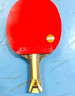 红双喜（DHS） SH横直对拍初学者训练比赛乒乓球拍横直套装01 实拍图