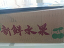 远达（YUANDA）河北皇冠梨赵县特产新鲜水果冰糖雪梨当季水果梨子整箱白梨脆甜 赵县皇冠梨净重4.5斤单果230g+ 实拍图