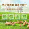 舜华干香酱板鸭湖南特产临武鸭过节送礼整鸭香辣熟食鸭肉零食小吃卤味 【辣到过瘾】激辛酱板鸭350g*1袋（赠品赠完即止） 实拍图