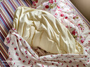 罗莱家纺 被子被芯 A类可水洗79%大豆蛋白纤维加厚保暖冬被芯 约4.4斤 实拍图