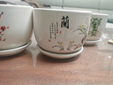 裕轩堂花盆陶瓷家用吊兰蝴蝶兰绿萝带托盘大号个性阳台简约多肉室内套装 梅兰竹1（三个14厘米） 中等 实拍图