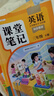 2026斗半匠同步练字帖三年级下册语文英语小学生语文练字帖衡水体英文字帖硬笔描红字帖练习练字本每日一练【2册 实拍图