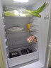 康佳康小白206升三开门冰箱二级能效新升级节能软冷冻家用租房小型家用租房AR-225G3 实拍图