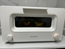 巴慕达（BALMUDA）蒸汽烤箱迷你小型多功能烘焙智能网红电烤箱家用面包蛋糕披萨吐司红薯鸡翅早餐机K05D 白色 8L 实拍图