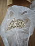 蒂洛薇（DIROVO）【热销TOP】水光粉膏遮瑕持妆保湿裸妆粉底液自然色*2 520礼物 实拍图