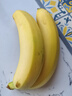 都乐 超甜蕉700g 实拍图
