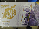 蒙牛真果粒蓝莓味牛奶饮品250g*12盒 小黄鸭IP 礼盒新老包装 含乳饮料 实拍图