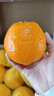京鲜生 四川春见耙耙柑 净重8斤 单果270g起 生鲜水果柑橘桔子礼盒 实拍图