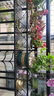 安尔雅花架阳台装饰多层家用置物架户外铁艺花架子客厅绿萝多肉花盆架 实拍图