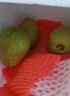 京鲜生树熟软糯红心芭乐 4个装单果130g+ 新鲜番石榴 源头直发包邮 实拍图