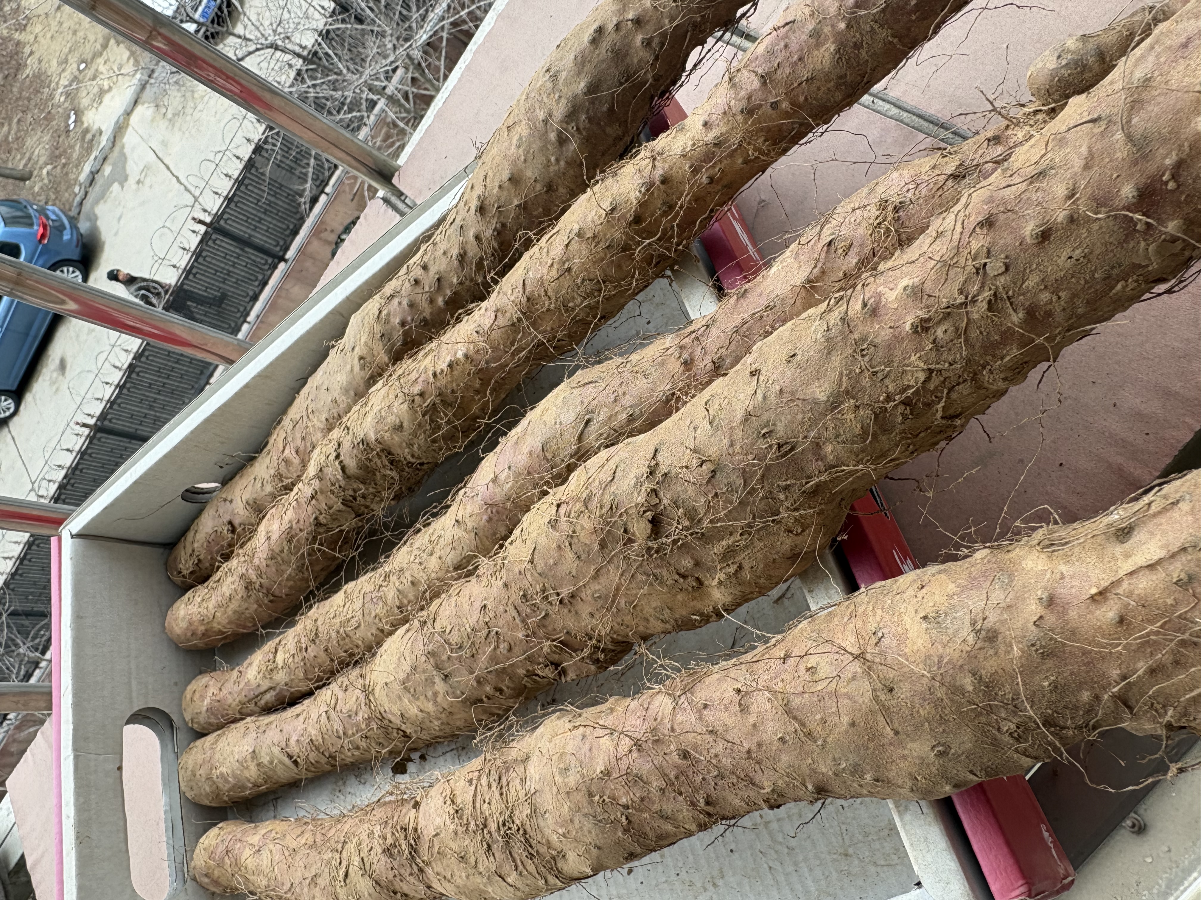 补诱农家自种年货红皮铁棍山药5斤正宗河南焦作特产新鲜紫怀淮山铁杆 垆土多锈[60cM]（尊爵款）5斤 铁棍山药 实拍图