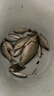 钩尖江湖艰苦奋斗也要钓鱼干鲜水解蚯蚓腥香饵料野钓鲫鱼鲤鱼草鱼钓鱼饵料 【蚯蚓腥香】艰苦奋斗300g*3袋 实拍图