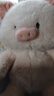 名创优品（MINISO）福莉丝猪系列-乖乖坐姿公仔毛绒玩具玩偶抱枕娃娃生日礼物女 实拍图