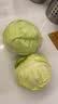 云南小包菜新鲜卷心菜农户自种蔬菜绿甘蓝鲜嫩可口单果250g起 绿甘蓝 3斤 实拍图