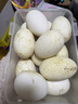 保卫蛋蛋山东鹅蛋12枚巨无霸孕妇宝宝放心吃年货礼盒装2.6斤生鲜 源头直发 实拍图