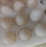 温润食品新鲜鸽子蛋 20枚/360g 杂粮喂养营养鸽蛋宝宝孕妇放心吃 京东自营 实拍图