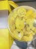芽典黄菊 菊花茶 黄山黄菊花茶叶徽州婺源特产伴手礼盒 精品量贩装50克/盒 实拍图