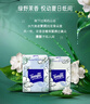 得宝（TEMPO）一博同款 手帕纸 茉莉花味4层7张*12包 湿水不破 纸巾小包 面巾纸 实拍图