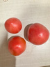番茄约500g 实拍图