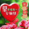 凯儿得乐比得兔婴儿纸尿裤 超薄夏季干爽尿不湿新生儿 透气尿裤夏尿包 纸尿裤-S码102片/箱(4-8KG) 实拍图