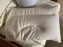 京东京造 金榜TOP荞麦枕 高山苦荞荞麦壳填充枕芯高度可调花草枕头 单枕 实拍图
