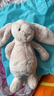 Jellycat害羞胭脂粉色邦尼兔柔软舒适动物毛绒玩偶儿童送礼生日礼物 害羞胭脂粉色邦尼兔 Medium 实拍图