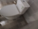 九牧（JOMOO）11173-2-1/31KD-3大力神家用马桶虹吸抗菌节水洁具305坑距 实拍图