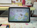 Apple/苹果 iPad mini (A17 Pro) 8.3英寸 平板电脑(512G WLAN版/mini7/MYH23CH/A)星光色 实拍图
