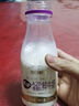 每日鲜语原生优护A2β-酪蛋白鲜牛奶250ml*3瓶鲜奶定期购 实拍图