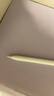 Apple/苹果 Pencil Pro 磁吸触控笔手写笔苹果笔电容笔书写绘画ipad笔 适用于iPad Pro/Air/mini机型 实拍图