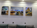 Sixpoetry 客厅装饰画现代简约沙发背景墙壁画轻奢三联晶瓷画大气高档挂画 福禄生辉（铝合金外框） 晶瓷画左右60*80+中间120*80亮面 实拍图
