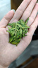醉茗山2026新茶明前龙井500克 早春茶礼盒装杭州散装鲜芽嫩芽绿茶浓香型 实拍图