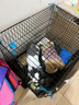 腆宠狗笼猫笼 狗笼子中小型犬带厕所幼犬狗窝猫笼子大号家用围栏兔笼 实拍图
