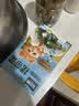 花田熊钙铁锌裙带菜4g*10袋独立儿童早餐高钙高铁免洗免切干货 实拍图