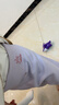 笛莎（DEESHA）【含绵羊毛桑蚕丝】儿童校服神器双面磨毛打底裤抗静电女童打底裤 实拍图
