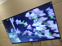 王牌艳春【电视机排行前十名】无边框8K液晶全面屏超高清蓝光WiFi遥控语音手机投屏客厅家用护眼智能网络 75英寸 2026款极清8K智能安卓9.0旗舰款 Ai智能旗舰款16+512G+免费安装+会员观 实拍图