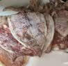 北海印象烧烤鱿鱼干KTV酒吧手撕干鱿鱼芥末尤鱼干货250g 中秋送礼礼品团购 A5鱿鱼干 80g * 1袋 试吃装约10条 实拍图